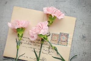 手紙に添えられた花たち